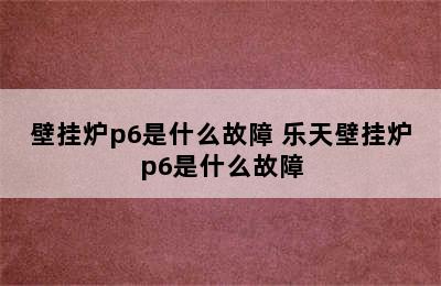 壁挂炉p6是什么故障 乐天壁挂炉p6是什么故障